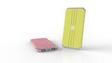 Power Bank with Dual Output and LED Flashlight