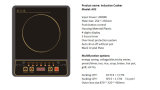 Induction Cooker_A02