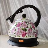 Enamel Electric Kettle, Electric Whistling Kettle (DW18-10D)