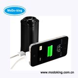 Mini Mobile Phone Charger with CE & RoHS Approved (MT-813)