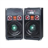 Bluetooth Speaker 666t Stage DJ Speaker with FM