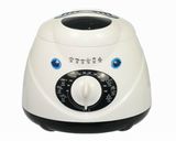 Deep Fryer (KL-808A) 1.0L