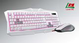 Computer Keyboard and Mouse