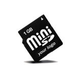 Mini SD Memory Card