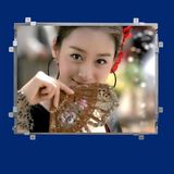 8 Inch LCD Open Frame Touchscreen Media Advertising Player (SS-033)