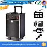 New Portable Speaker with Wireless Mic -USB, FM, Bluetooth