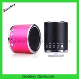 2013 Mini Speaker with Compatible USB/FM