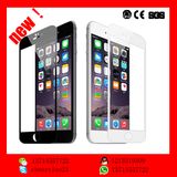 All Covered Explosion-Proof Screen Protector Pet Film for iPhone 6 Plus