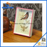 Ppf02514 2015 New Design Plastic Photo Frame