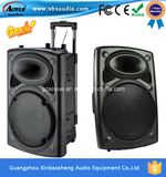 New Single 15-Inch Battery Powered Active Amplifier Module Speaker