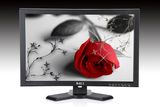 27-Inch LCD Display (P27A-10IPS)