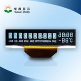 Segment LCD Display for Car Application