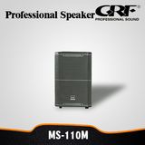 10 Inch Full Range Music Audio Speaker System