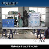 Focusun 5t 10t 15t 20t Flake Ice Maker